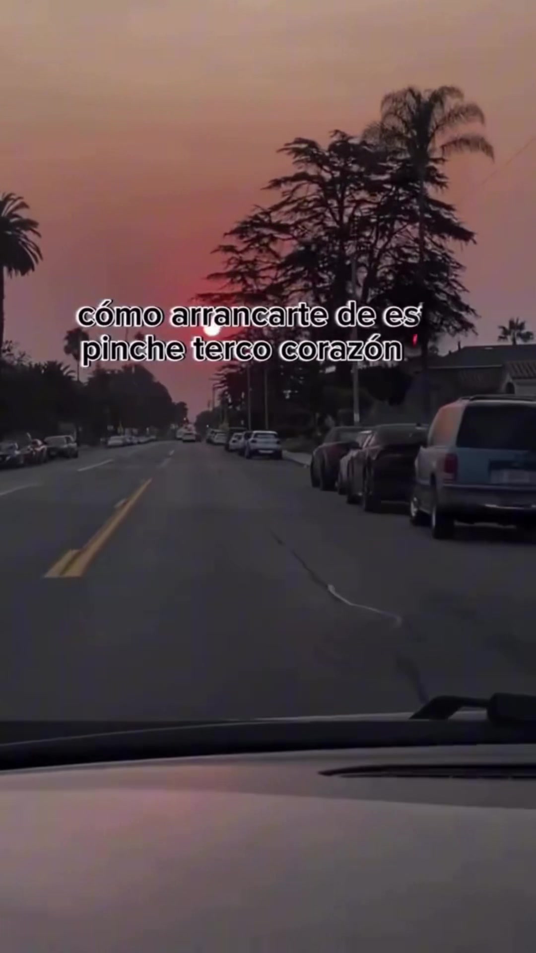 @Lulu Gomez