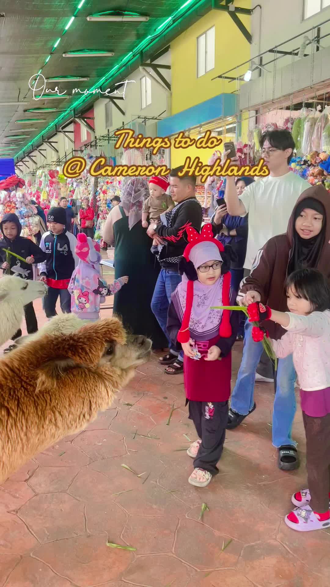 @✨Cik Puan Dhiah✨