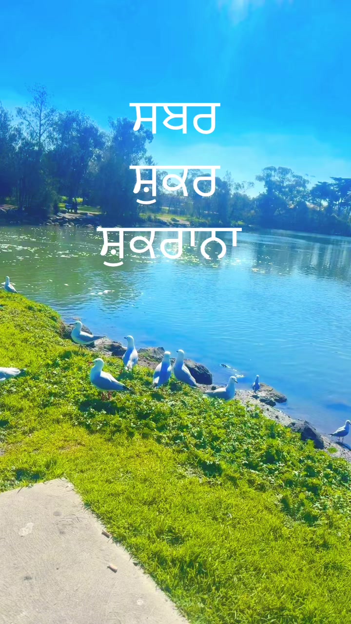 @Mandip Randhawa Kahlon