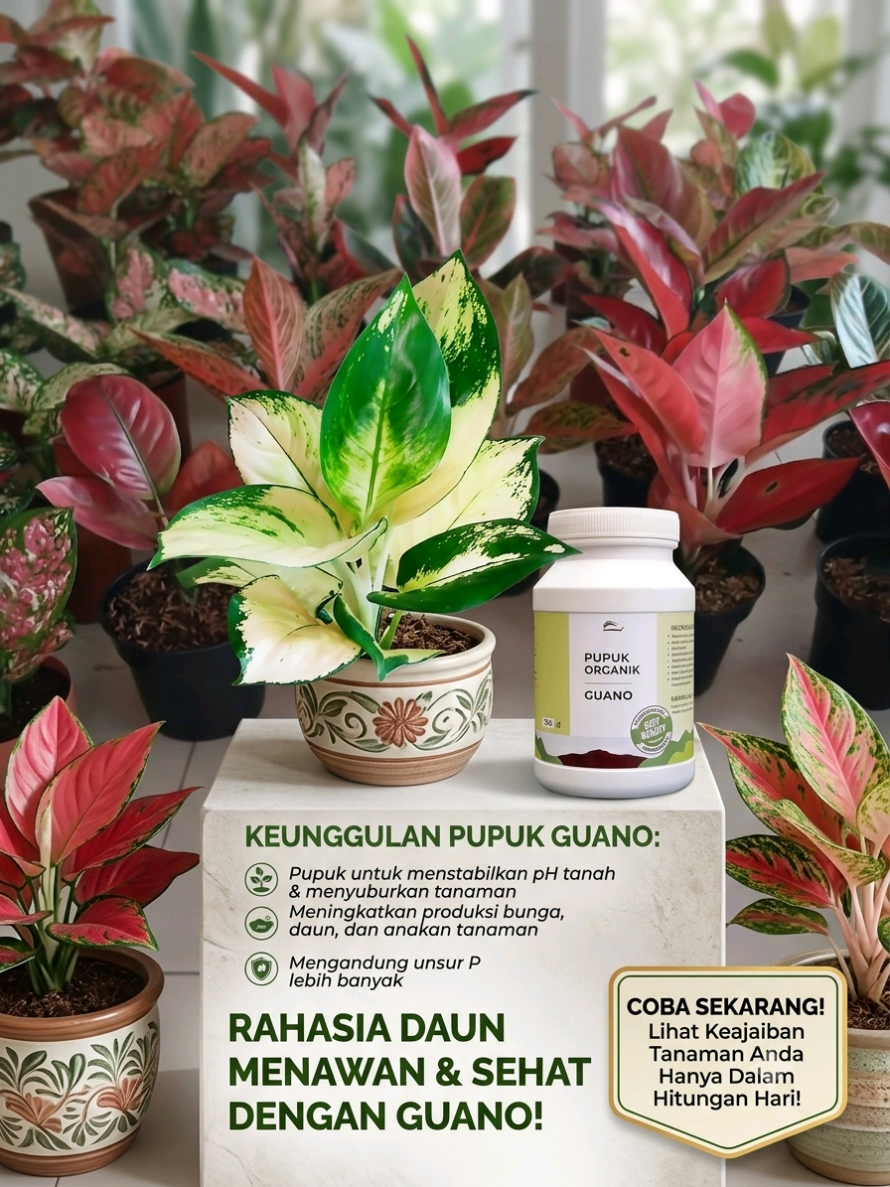 @Kuntum_Bunga
