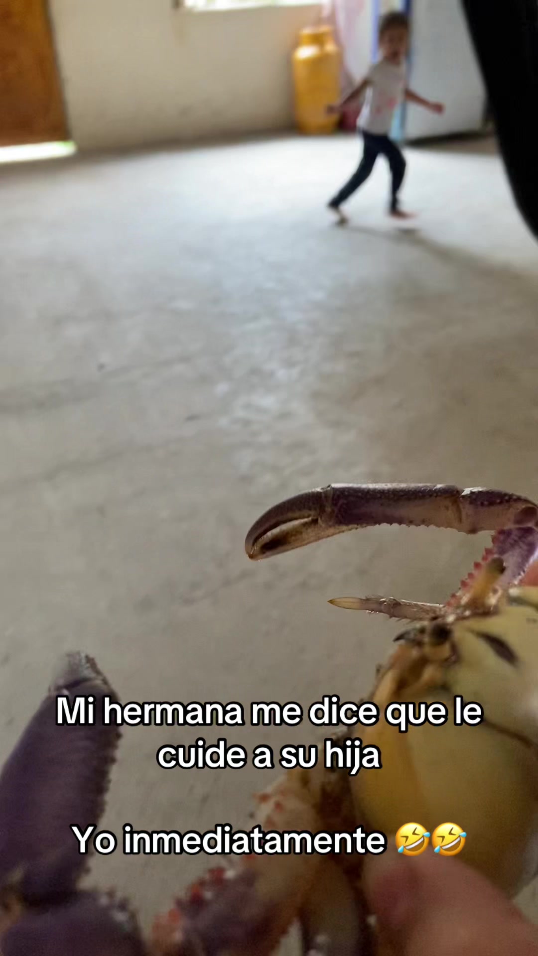 @Mishell