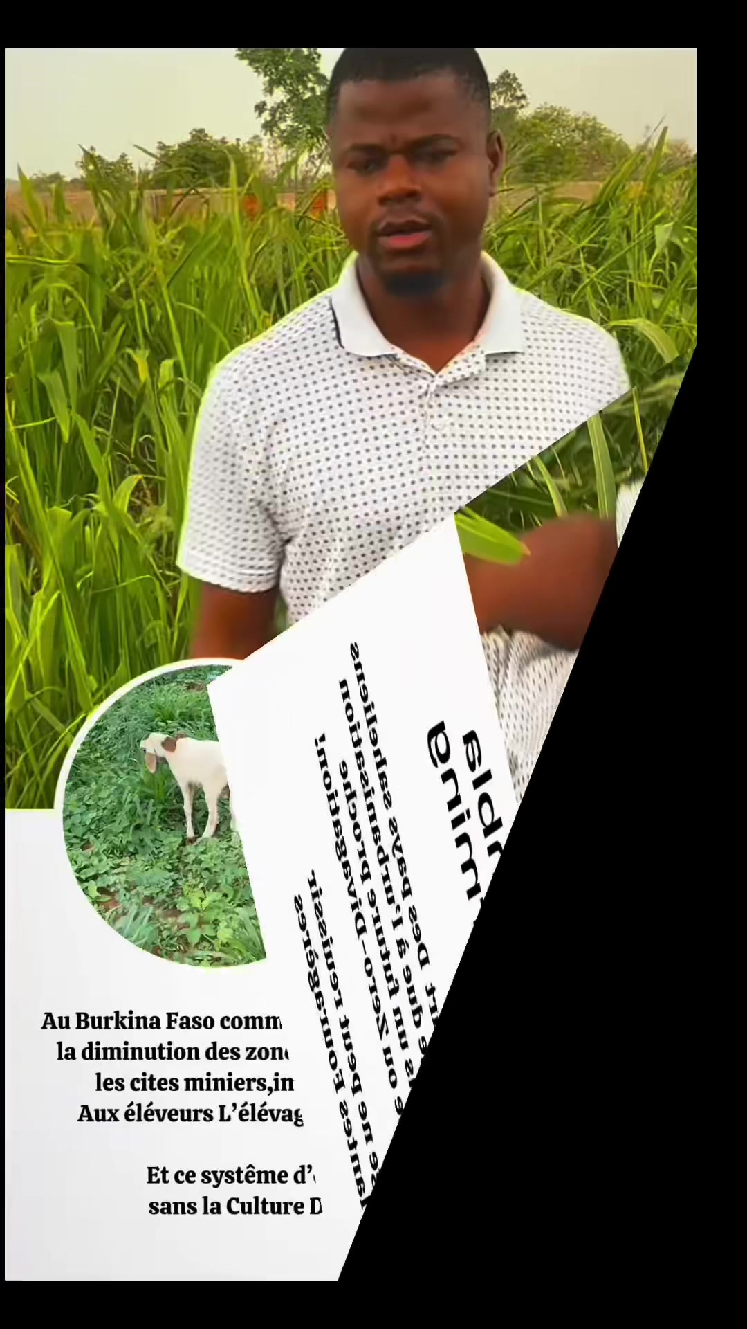 @Sambla Farming