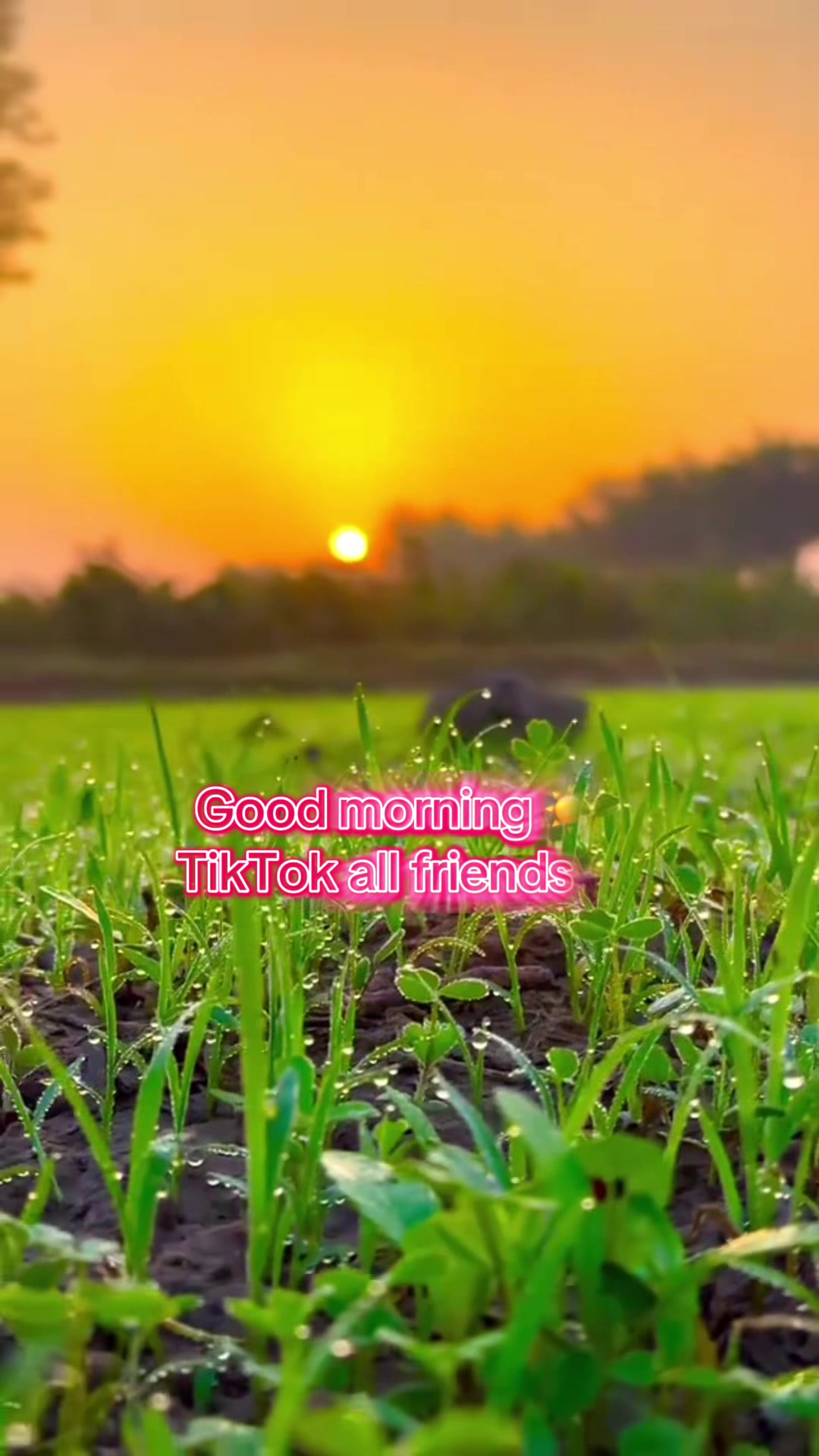 @Nawlpur,e ❤️ तोपगोली 🙂🙂✌️🤗