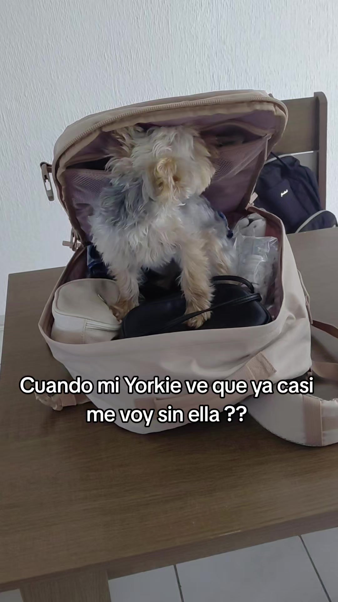@Maria Minerva Sarabi