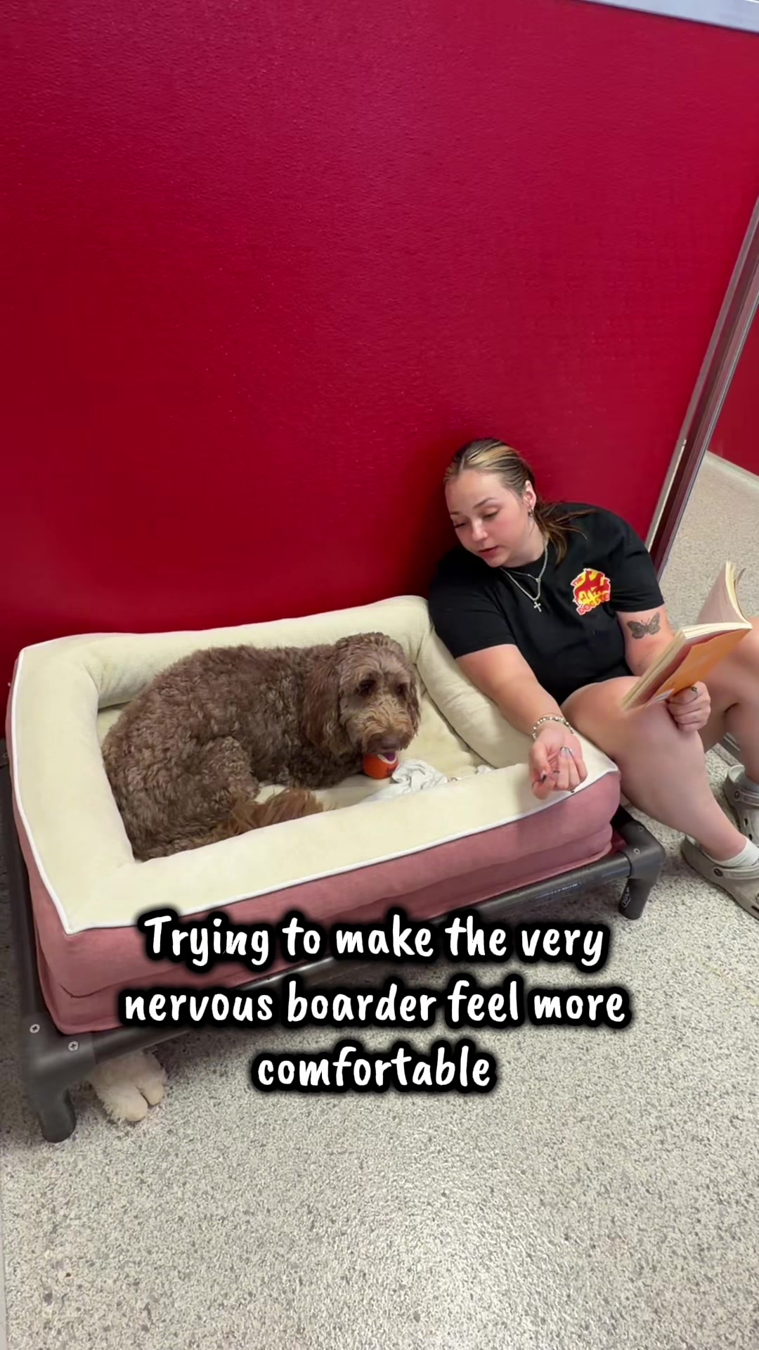 @The Dog Stop, Stuart FL๐๐พ๐