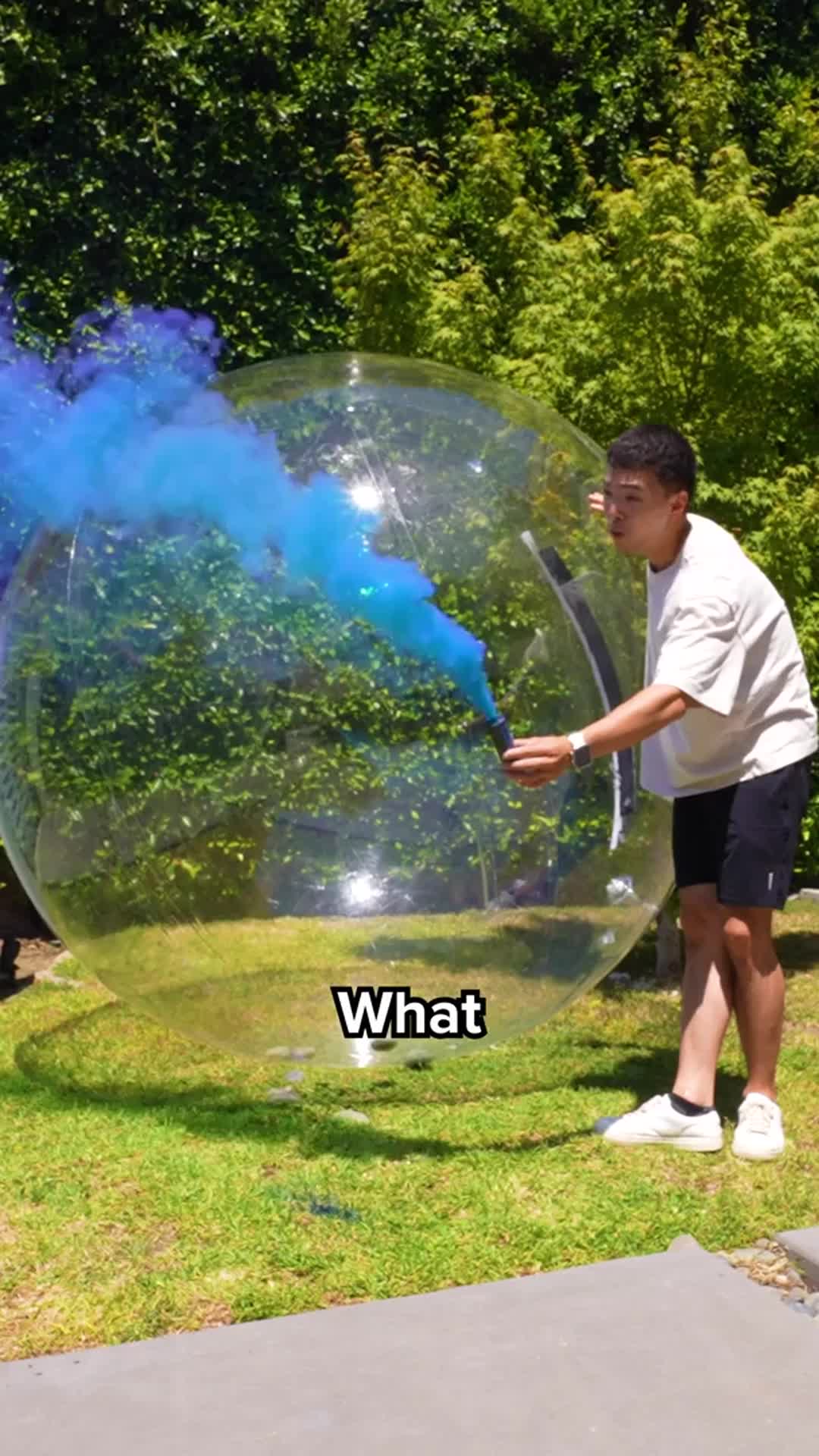 @Hafu Go