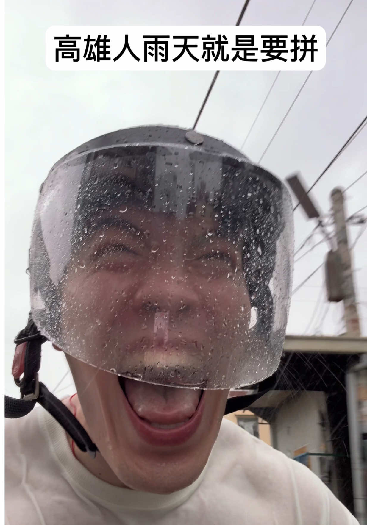 @神奇大豬公