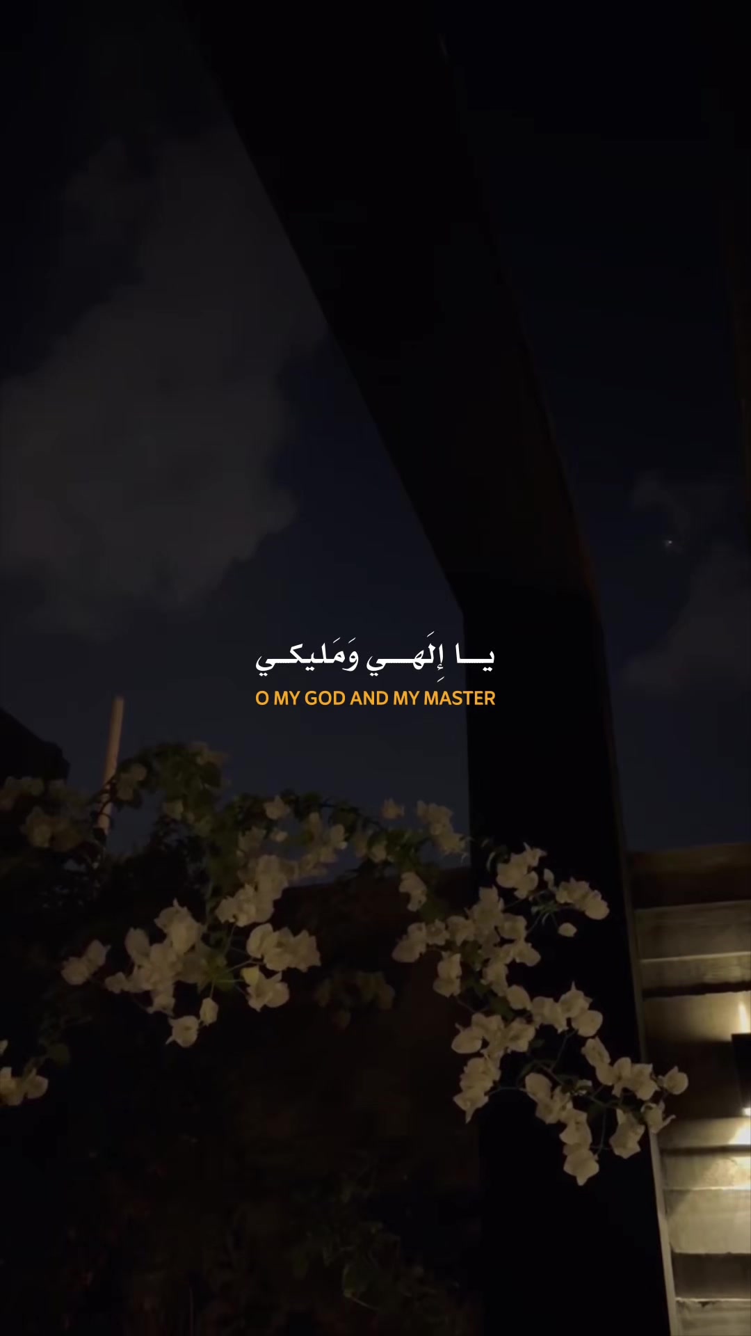 @Mohamed Tarek - محمد طارق