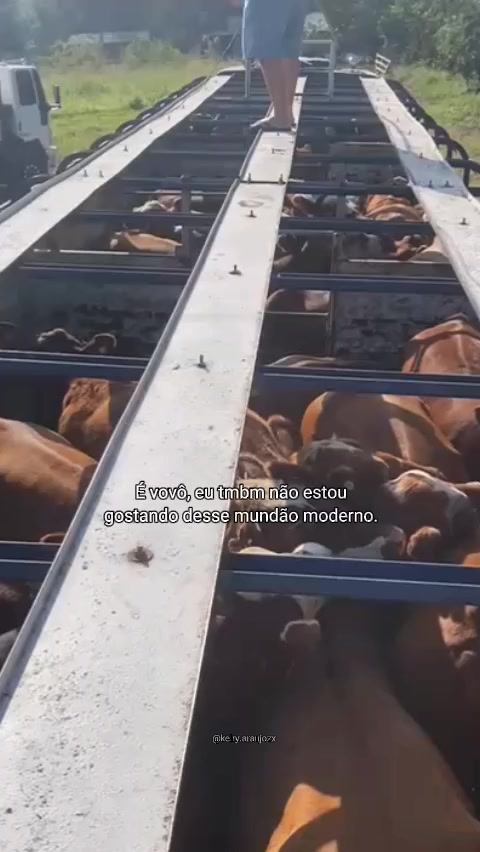 @é a Ana?🔥💯❤️🔥