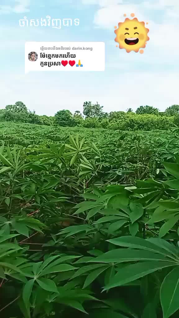 @ខ្ញុំស៊ែរឣោយ🔃🔗ដោយក្តីស្រលាញ់