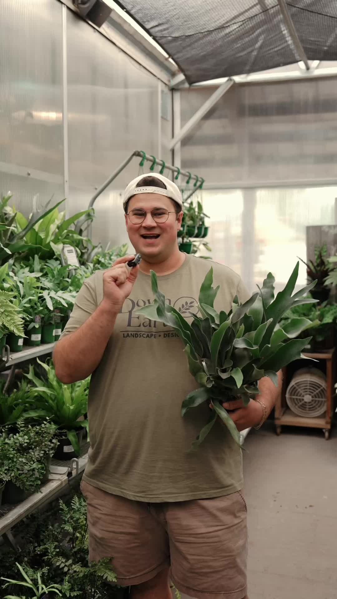 @Down to Earth Tropicals