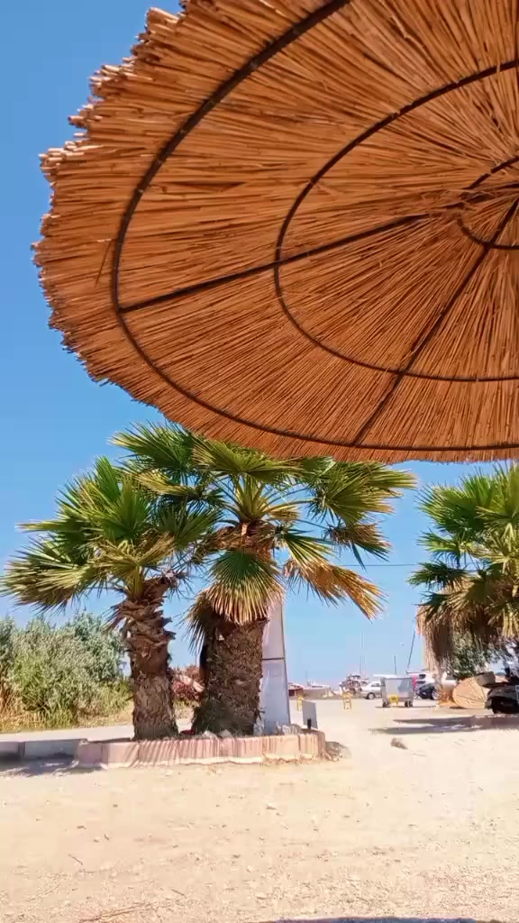 @meltemsultan35