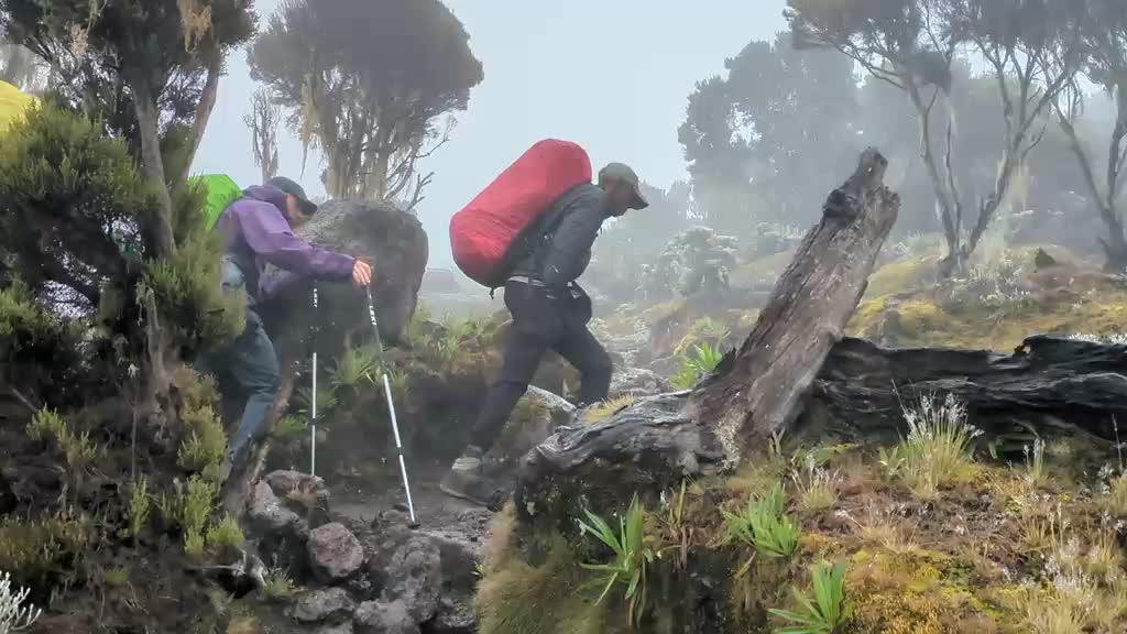 @Native kilimanjaro