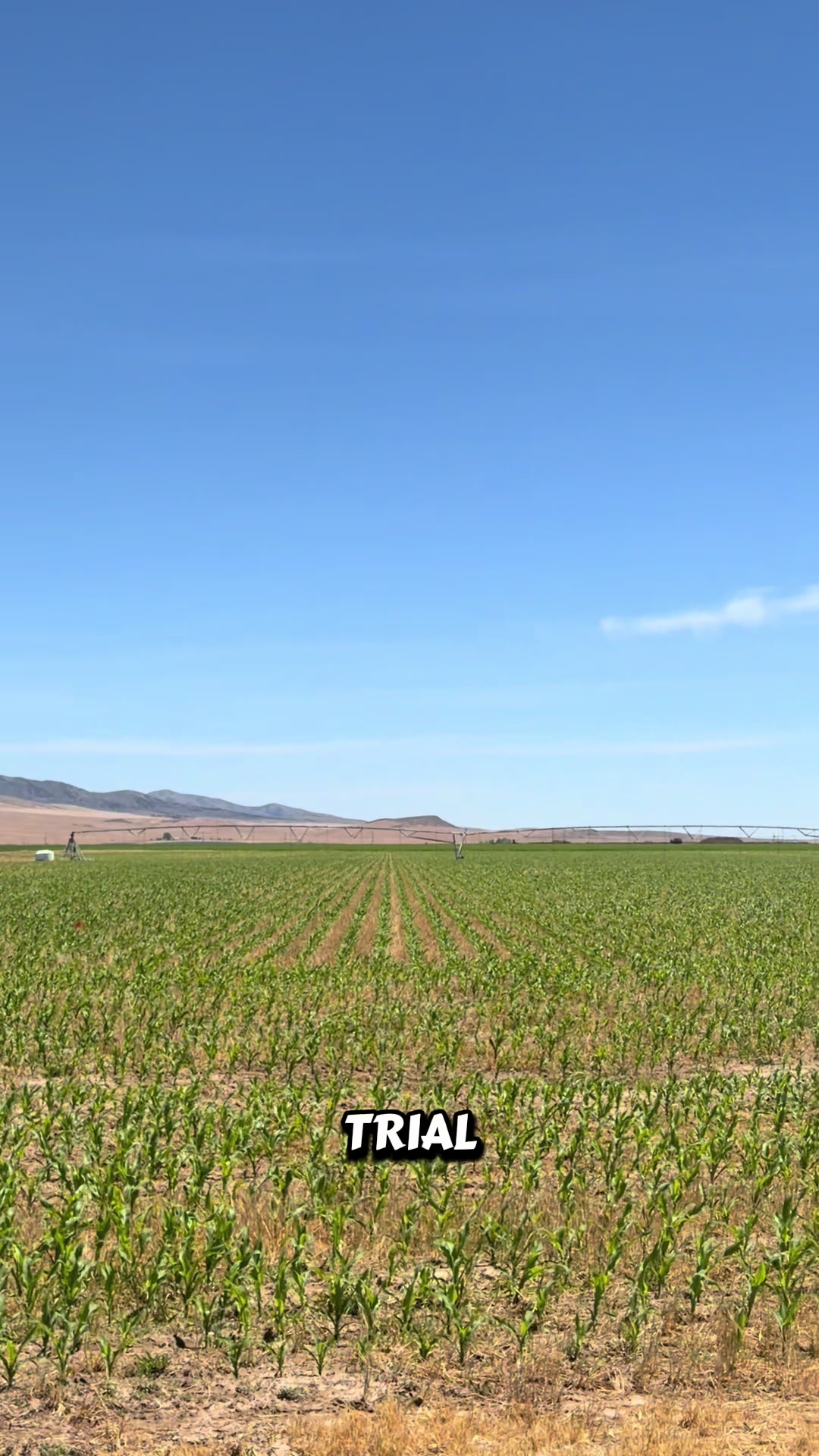 @kurtfarming