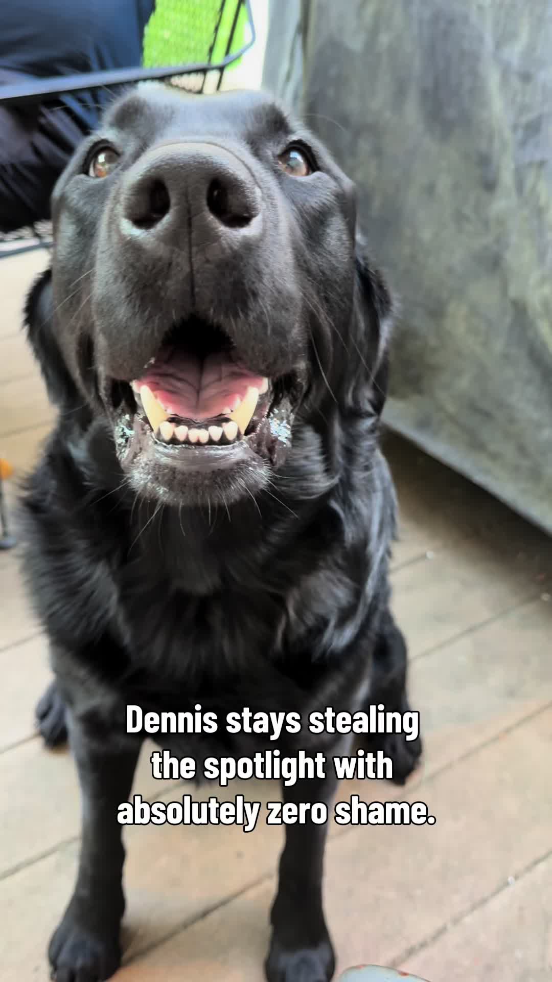 @DennisTheBlackLab
