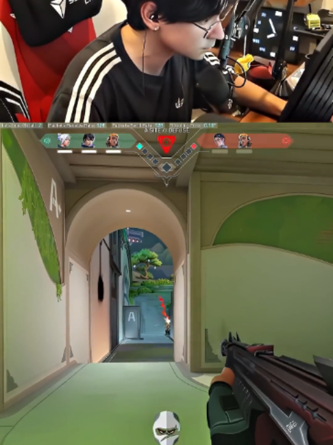 @vexha