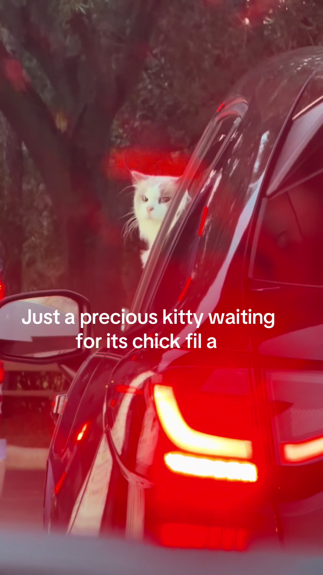 @Alexa