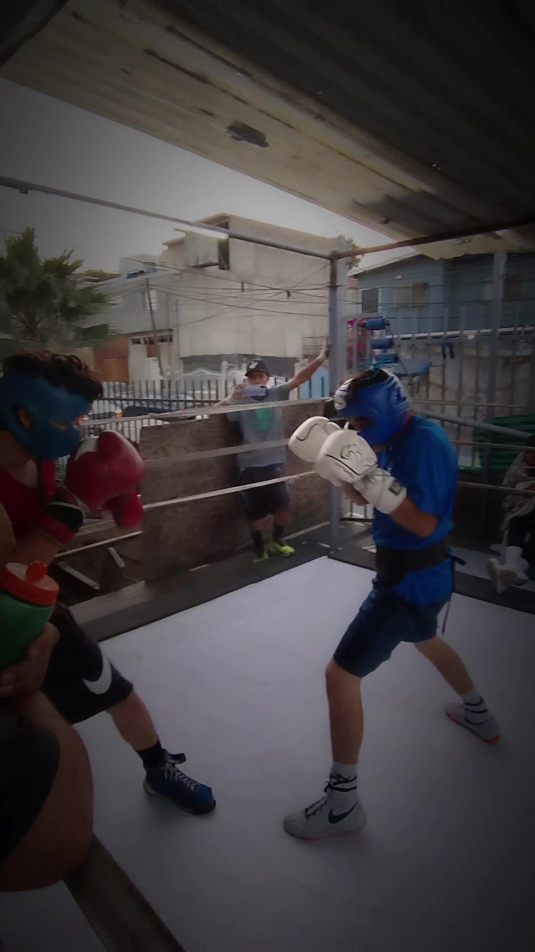 @palas boxing