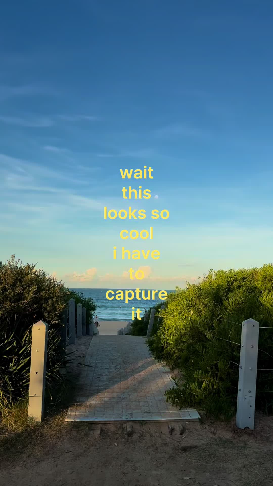 @Ella🍓