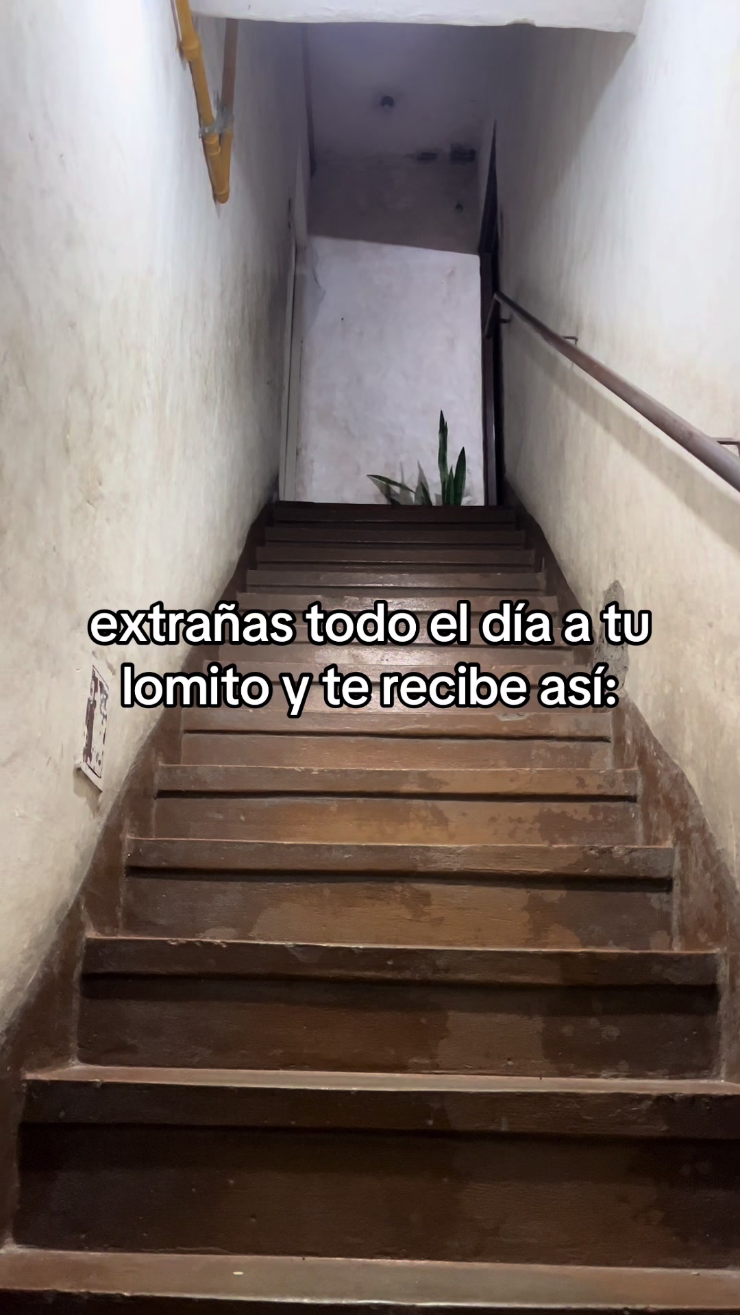 @florcijeanette