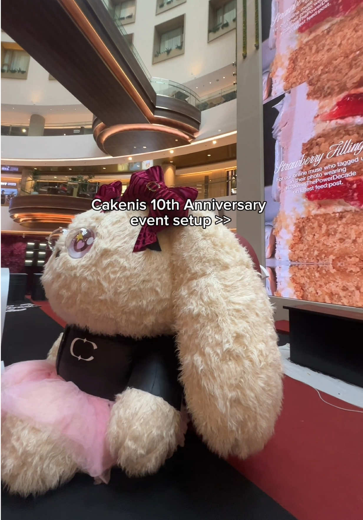 @shopcakenis