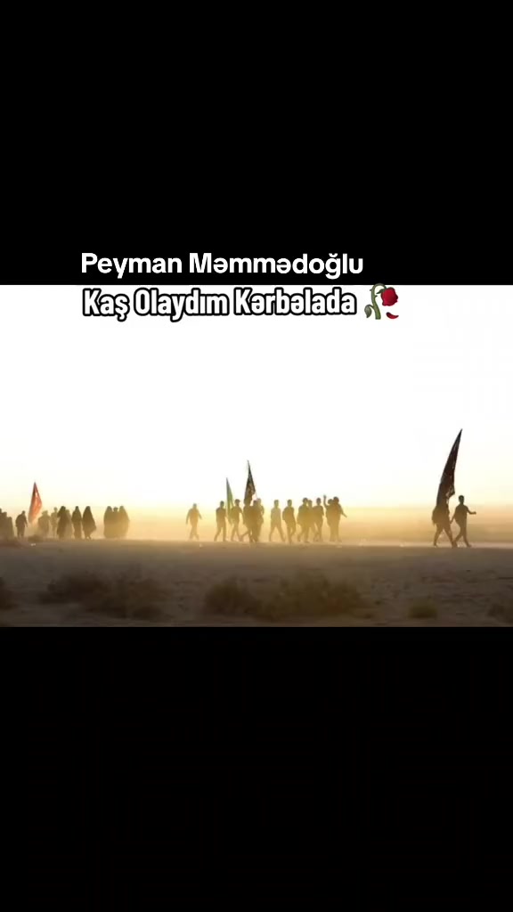 @Peyman MEMMEDOGLU