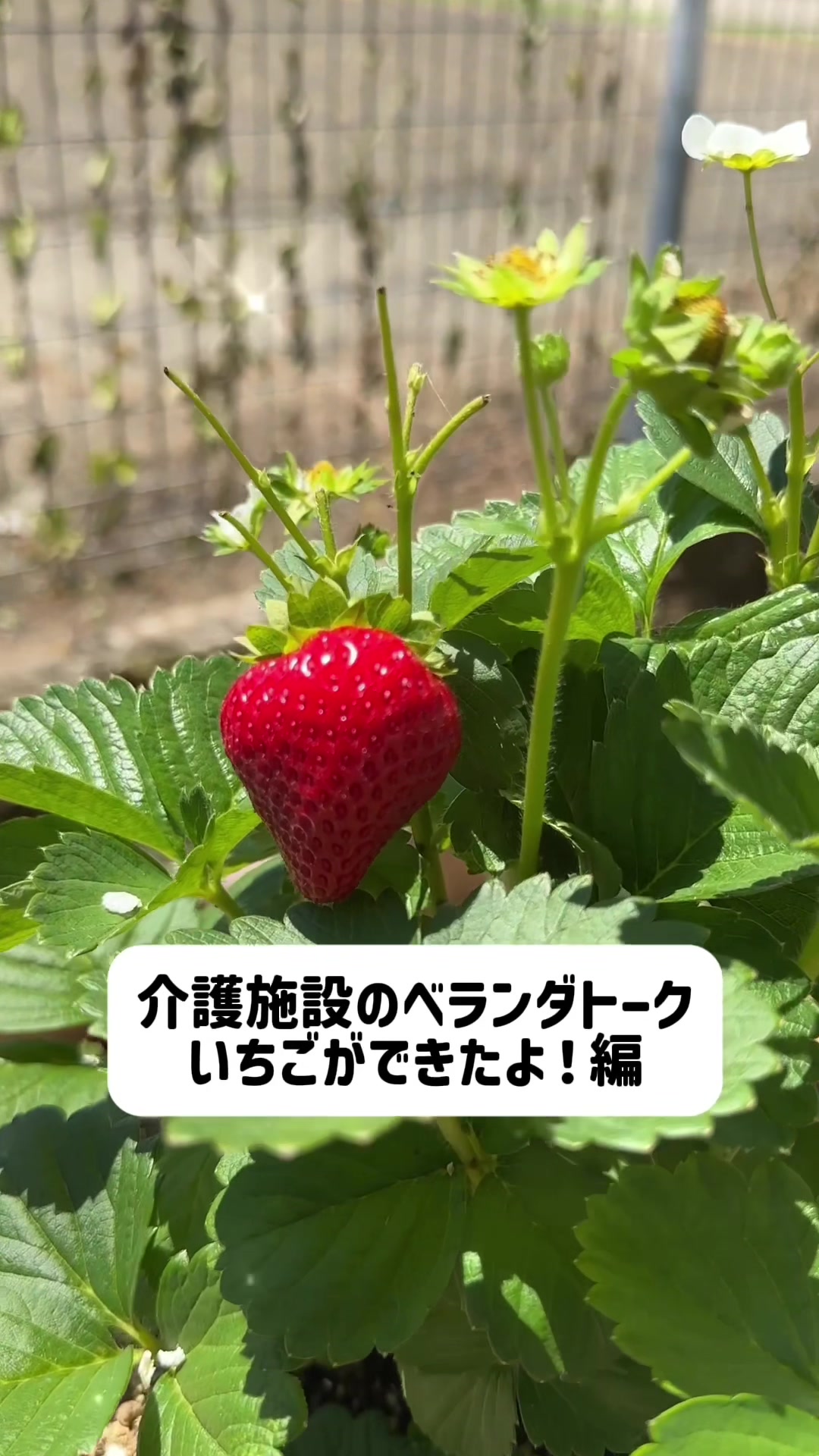 @京都清水メディケアシステム