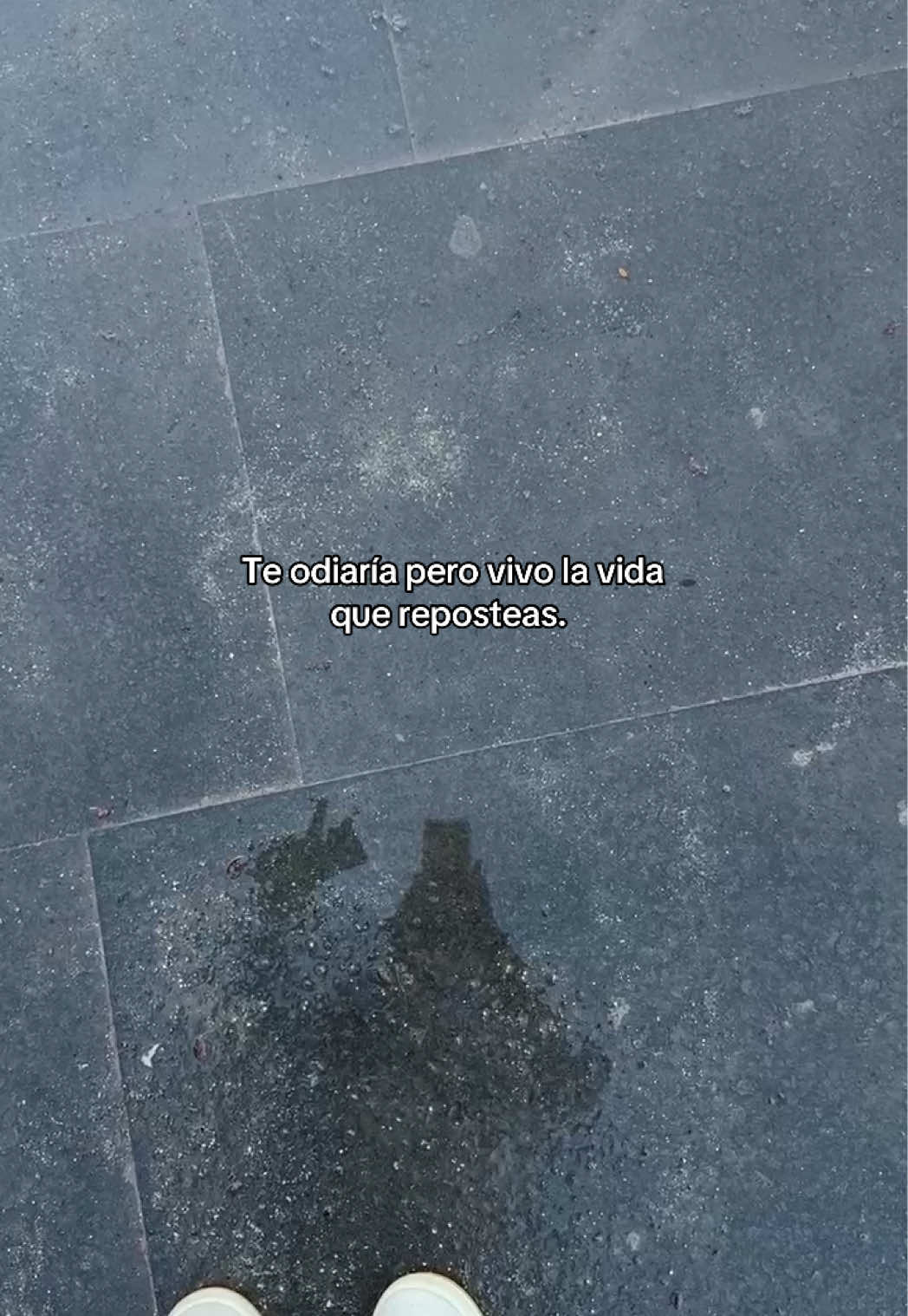 @diegoo🇲🇽