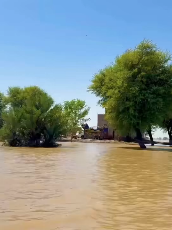 @غیرملکی