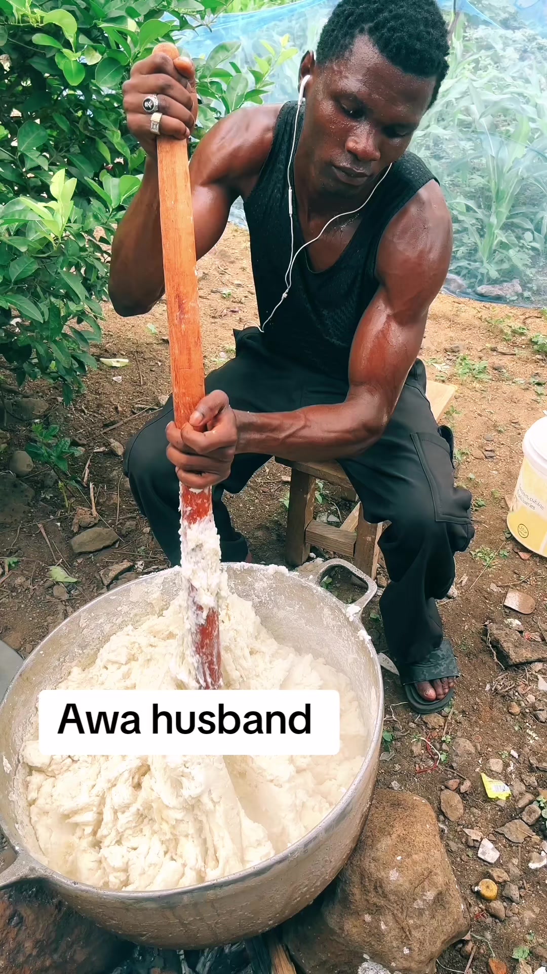 @Royal Boy 237