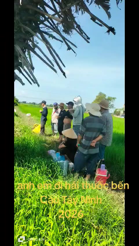 @VŨ ĐẠI PHU