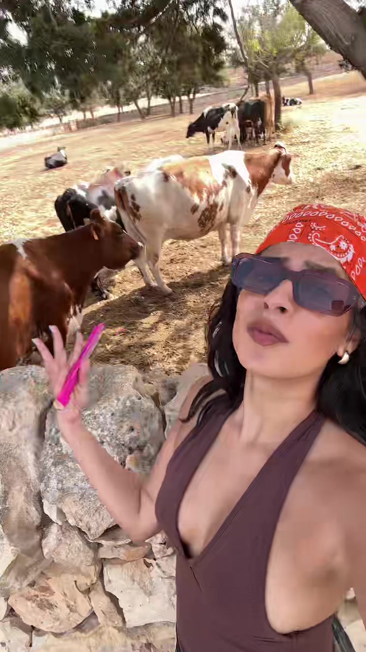 @horsepowar