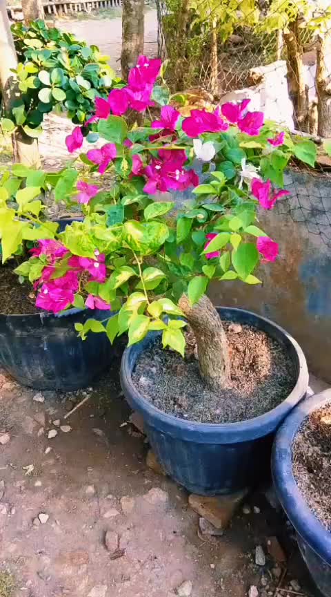 @zhanett23