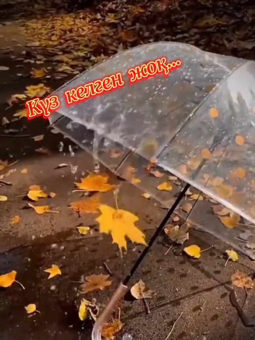 @Зулхумар Курбанбекова⭐️⭐️🔥