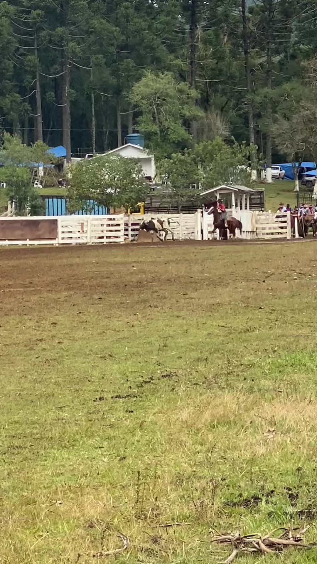 @BOIADEIRA 🐎➰🐄