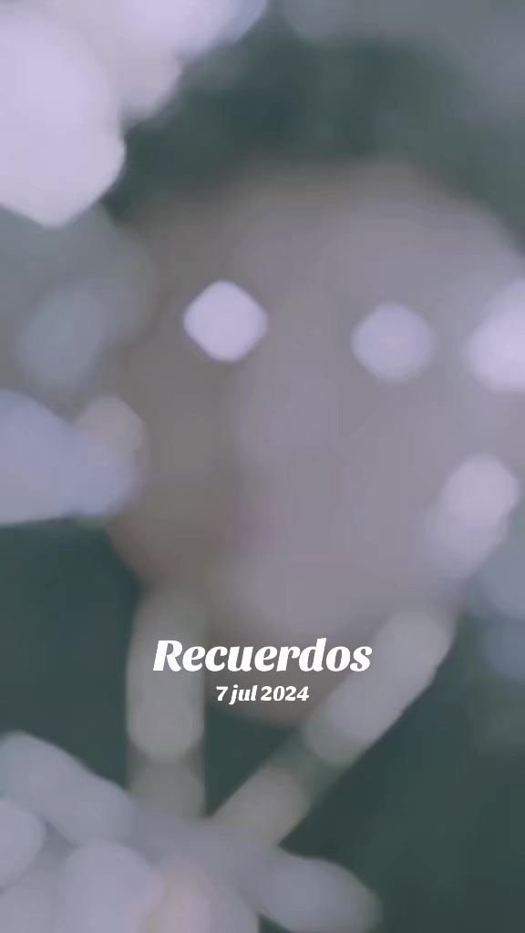 @Garrido Alex