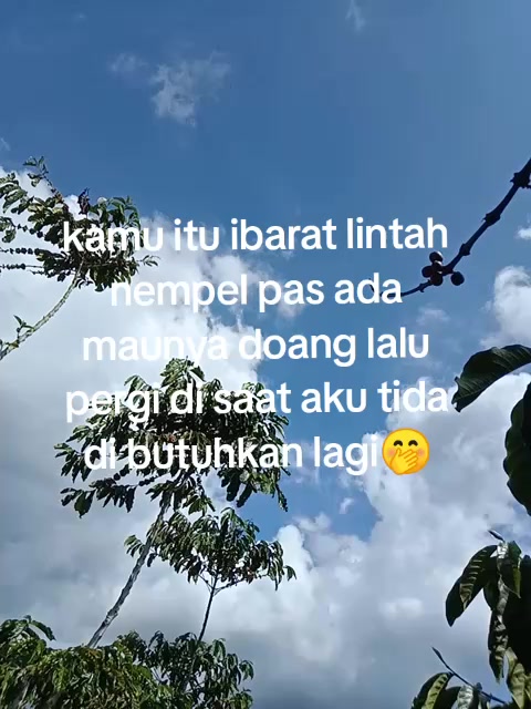 @☆~DAN~☆✨🦋