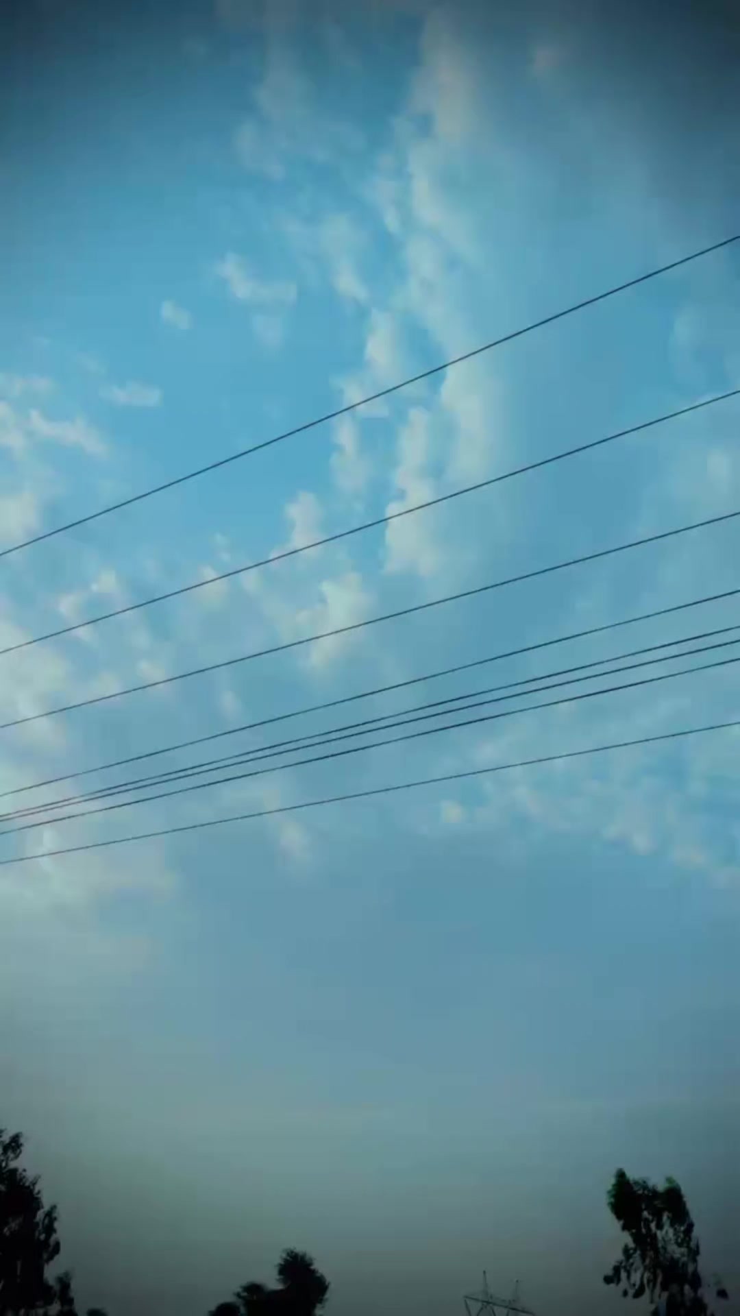 @ʀɪᴢᴡᴀɴ ᴊᴀʟᴀʟ