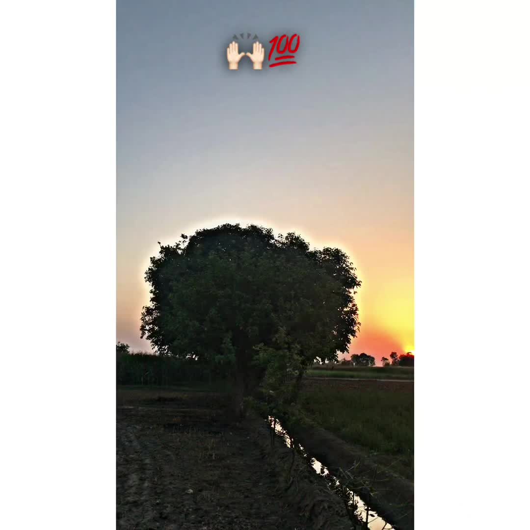 @ray_zeeshan_1001