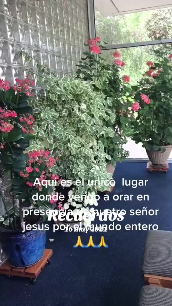 @Lupe González