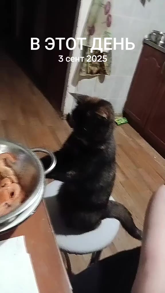 @Иннесса 🇷🇺🇷🇺🇷🇺