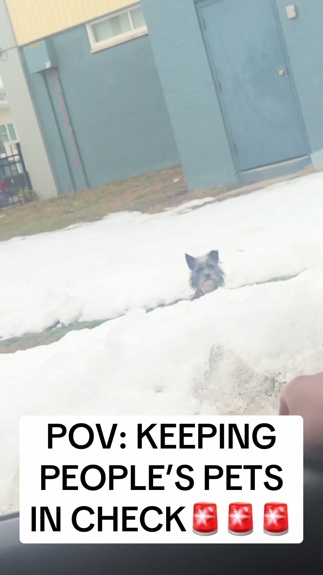 @Wucc