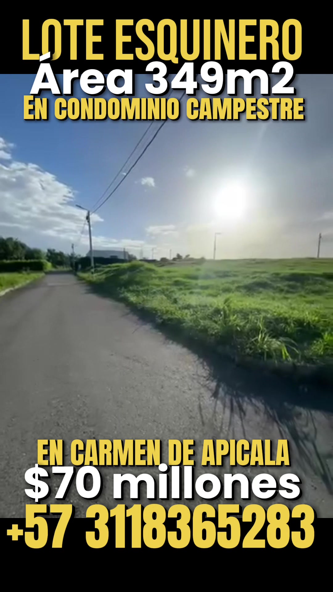 @Marlon Toro | bienes raíces