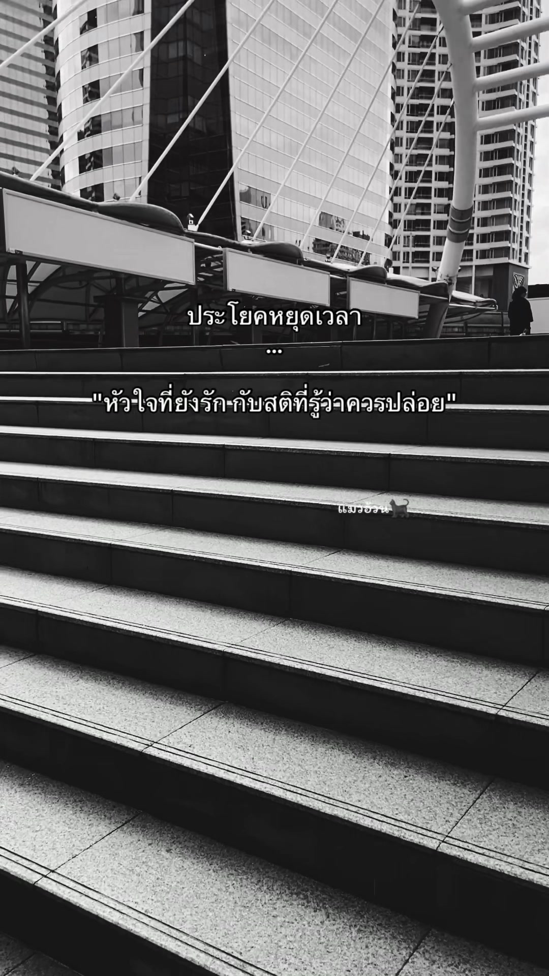 @แมวอ้วน🐈⬛