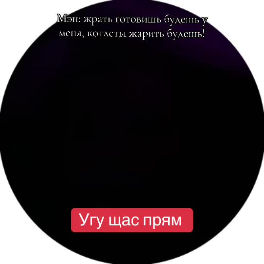 @Hamster_569