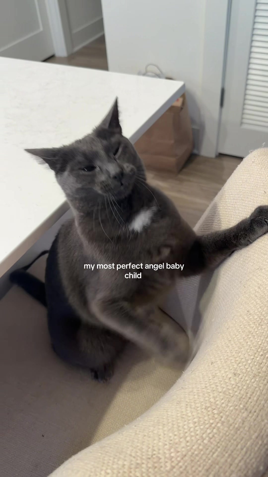 @SOPHIA