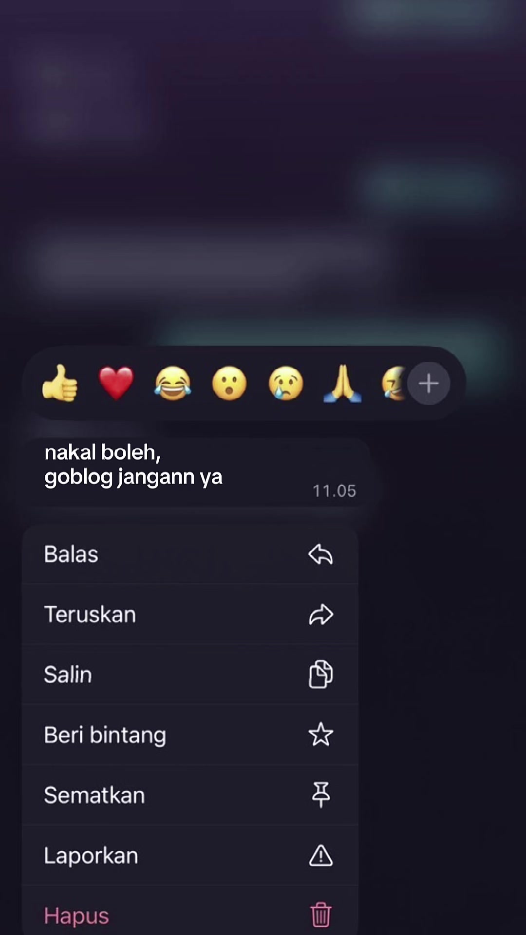 @riaraa_
