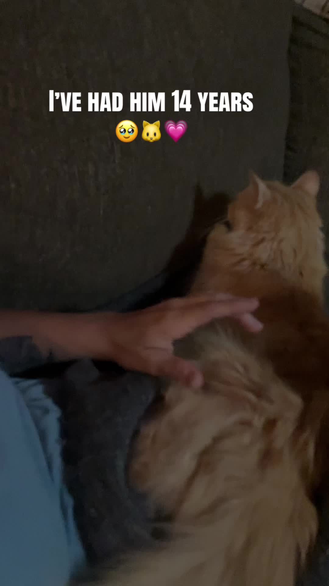 @JᥙstMᥱKᥲthყ🌺