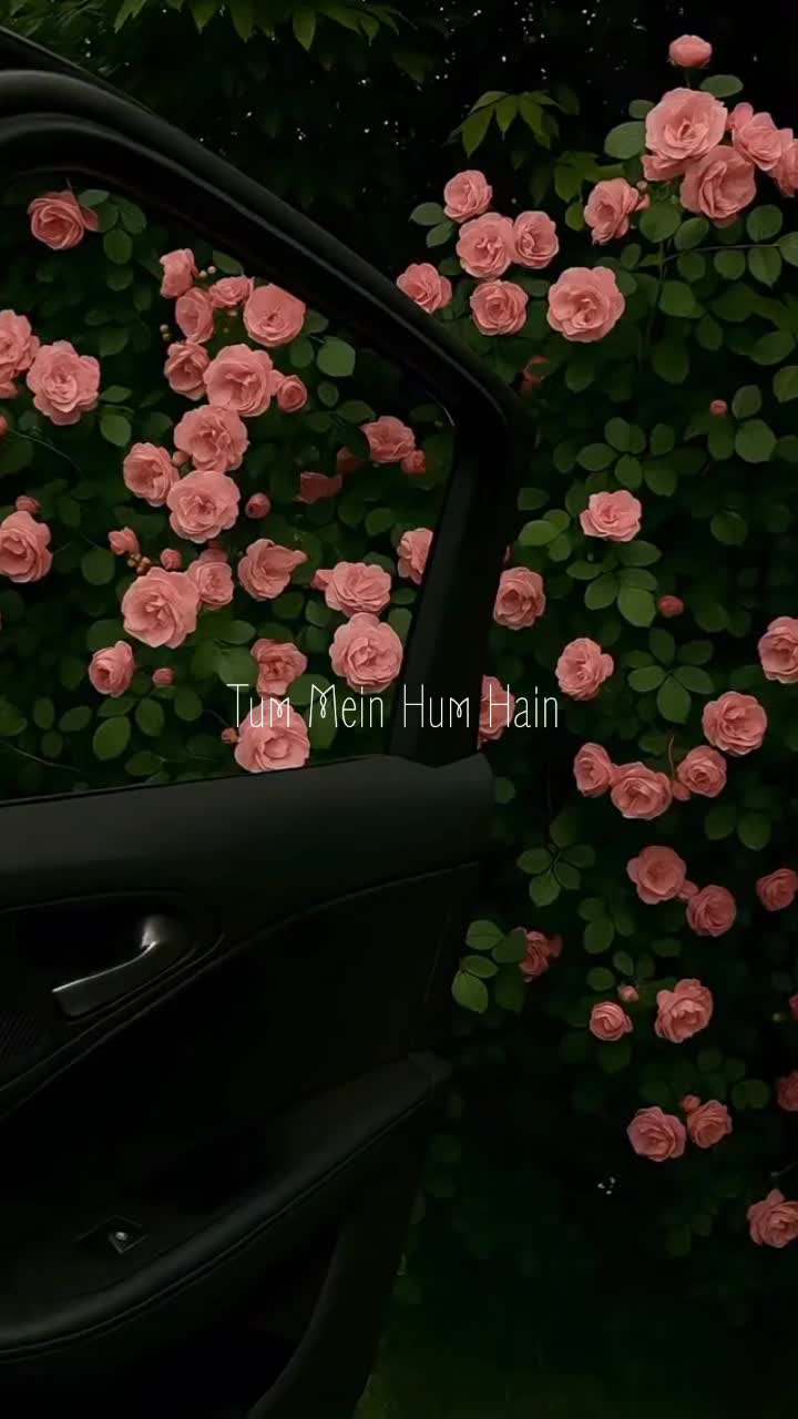 @Melodifybywasif