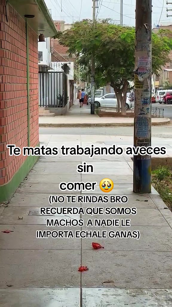 @Thor y Linda 🐾🐕❤️